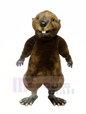 Hoch Qualität Otter Maskottchen Kostüme