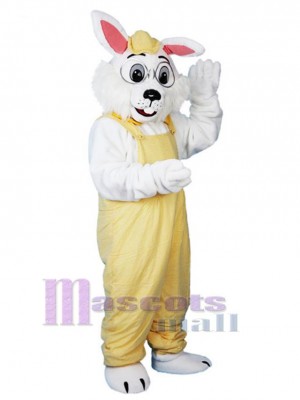 Hase maskottchen kostüm