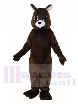 Brown Eichhörnchen Maskottchen Kostüme