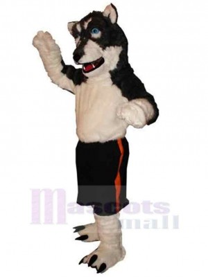 Sportwolf Maskottchen Kostüm Tier mit blauen Augen