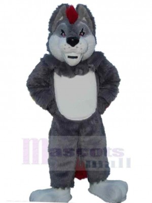 Wolf maskottchen kostüm