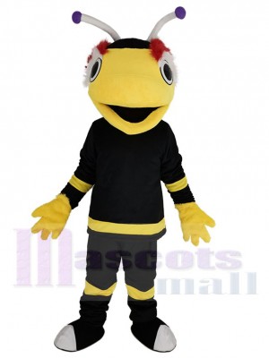 Schwarz Tampa Bay Lightning Thunderbug Maskottchen Kostüm Tier