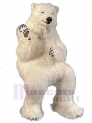Realistischer Eisbär Maskottchen-Kostüm Für Erwachsene Maskottchen-Köpfe